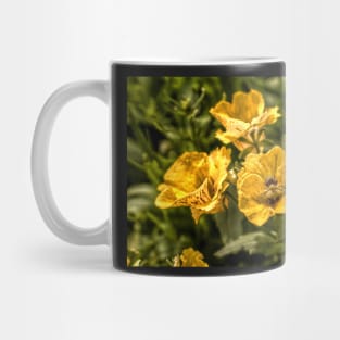 Nemesia Sundrops Mug